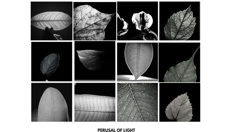 Visual Reading
