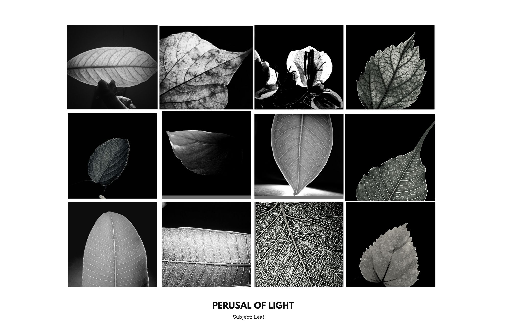Visual Reading